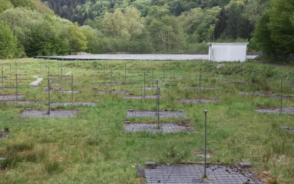 kinderuni_effelsberg_20160512_foto_e._tritschler_img_0415.jpg (DE)