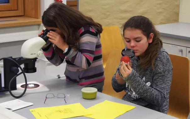kinderuni_rheinbach_mikroskop_20160211_foto_m._flacke_p2110366.jpg (DE)
