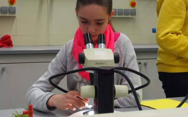 kinderuni_rheinbach_mikroskop_20160211_foto_m._flacke_p2110372.jpg (DE)