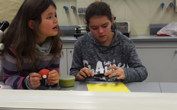 kinderuni_rheinbach_mikroskop_20160211_foto_m._flacke_p2110374.jpg (DE)