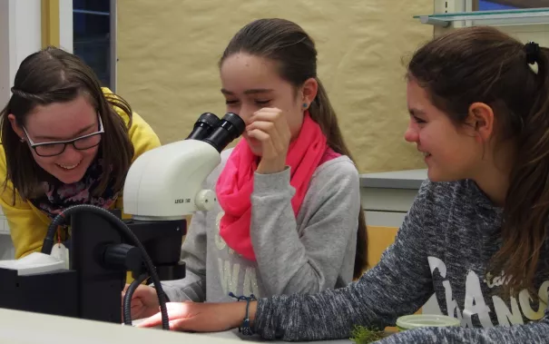 kinderuni_rheinbach_mikroskop_20160211_foto_m._flacke_p2110398.jpg (DE)