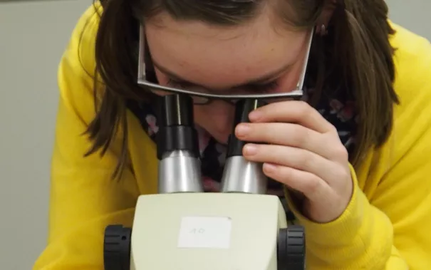 kinderuni_rheinbach_mikroskop_20160211_foto_m._flacke_p2110421.jpg (DE)