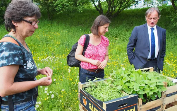 kunstorte_nr_14_sta_20160511_foto_y._weber_13.jpg (DE)