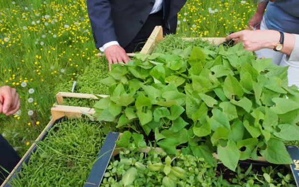 kunstorte_nr_14_sta_20160511_foto_y._weber_15.jpg (DE)