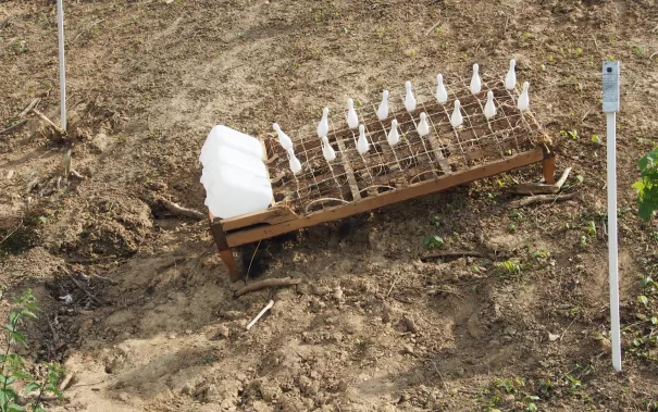 kunstorte_nr_14_sta_20160511_foto_y._weber_22.jpg (DE)