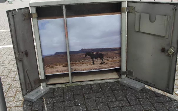 kunstorte_nr_14_sta_20160511_foto_y._weber_27.jpg (DE)