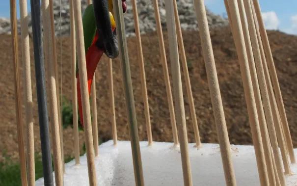 kunstorte_nr_14_sta_20160511_foto_y._weber_32.jpg (DE)