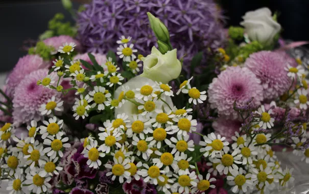 20190612_fbinf_verabschiedung_marlis_vonderhude_kw_011.jpg (DE)