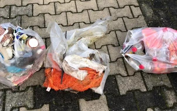 muellsammeln2_steinhaus.jpg