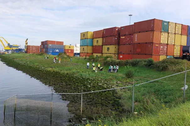 Hafen Rotterdam Müllsammelaktion