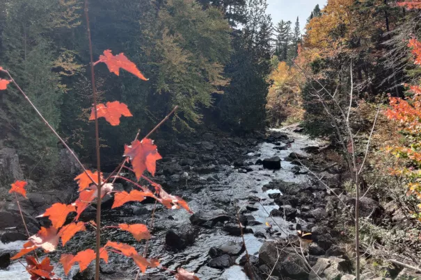 Kanada, Indian Summer, Foto: N. Kutz