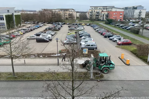 20240221 Bauarbeiten Campus StA Entsiegelung  Foto Daniela Greulich (2).JPG