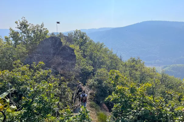2024-09-17 Rheinbacher Rundtour mit Christine Buchholz