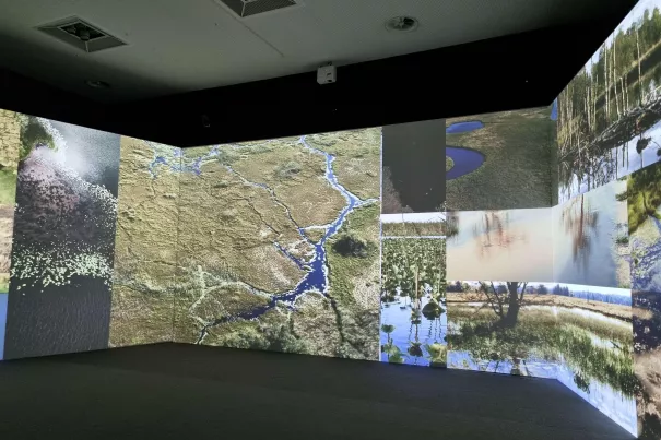 IZNE und UESD in der Save Land Ausstellung, Bundeskunsthalle Bonn, Bilder unberührter Natur