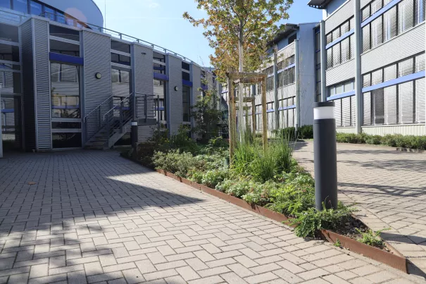 2025-10-02 Campus Umgestaltung großer Innenhof #6_Foto Martin Schulz.jpg