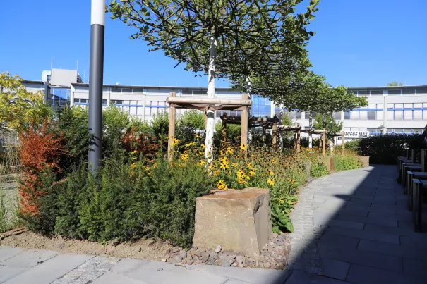 2025-10-02 Campus Umgestaltung großer Innenhof_Foto Martin Schulz.jpg