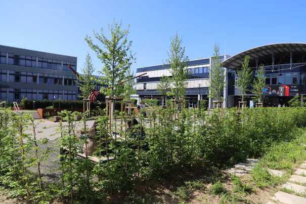 Campus Sankt Augustin Vorplatz Fruehling 20250428 Foto Juri Kuestenmacher 04.jpg
