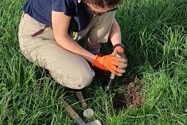 Doktorandin Atefeh Movasagh, IZNE