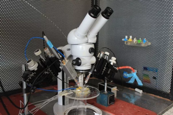 fb05_bio_patchclamp.jpg (DE)