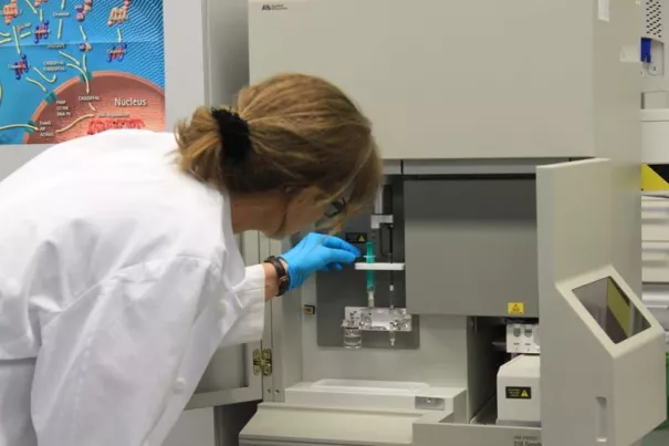 Labor Biologie Kapillarelektrophorese