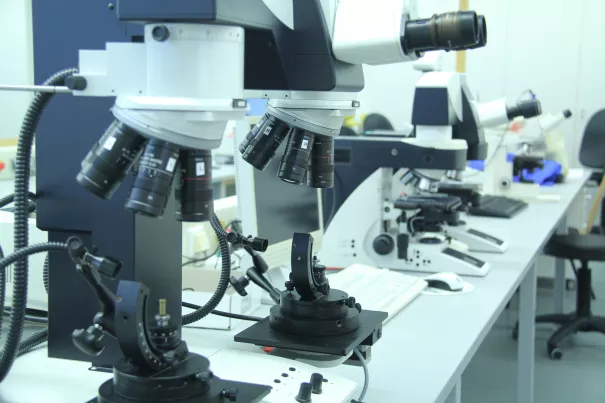 fb05_forensik_vergleichsmikroskopie.jpg (DE)