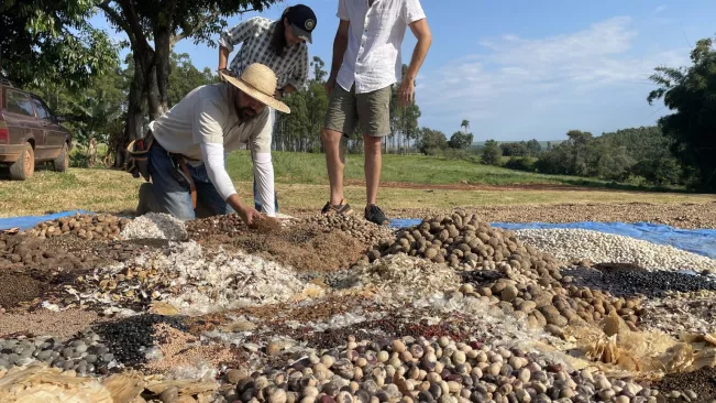 InPlanet Start-Up, CO2 Bindung durch Gesteinsmehl