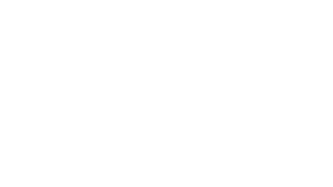 TOFI Project Titel_23