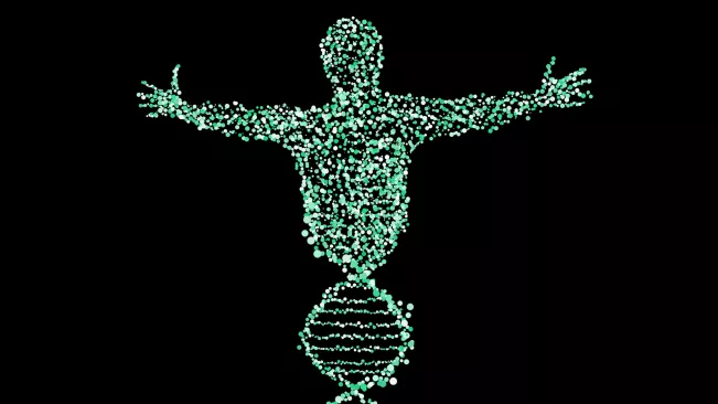 DNA Biology Man Pixabay