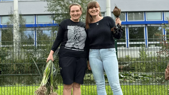 KLUGER Citizen Science Versuch Lauchernte - Antonini, Gutmann 1