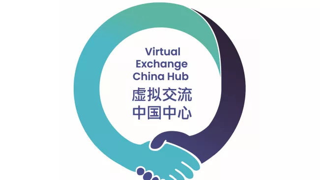 VE China Hub Logo
