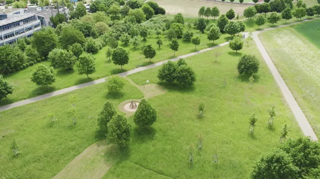 Drohnenflug EcoTwin Testfläche 20.05.25 - Blick Drohne