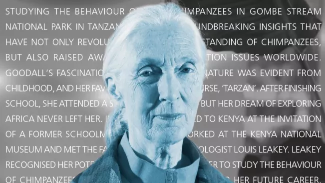 Jane Goodall Visionäre Forscherinnen