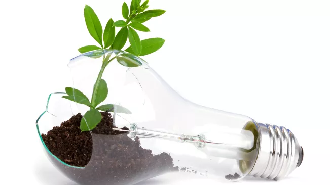 Schmuckbild Nachhaltigkeit (DE)