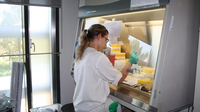 franziska_pohl_labor.jpg (DE)