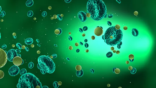 Studiengang Biomedical Sciences  COLOURBOX 23134180 (DE)