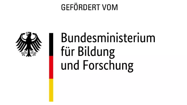 BAIN Summer School_BANNER_BAIN_BMBF_DAAD