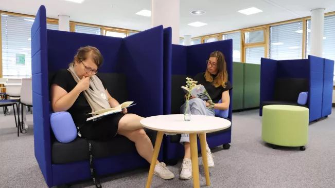 Bibliothek blaue Möbel