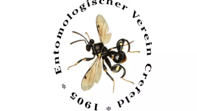 logo_evk_0.jpg