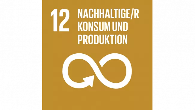 SDG 12 Nachhaltige/r Konsum und Produktion