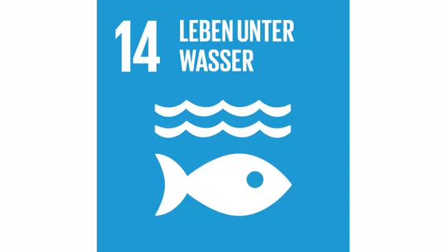 SDG 14 Leben unter Wasser
