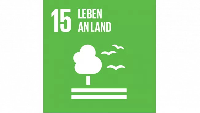 SDG 15 Leben an Land