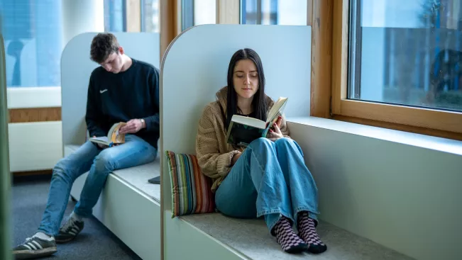 Fensterbänke in der Bibliothek