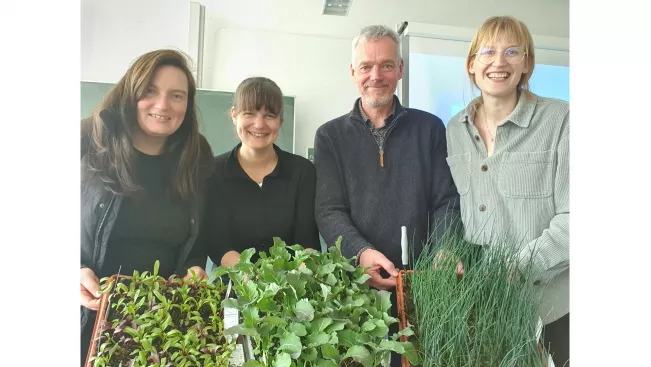 KLUGER Transfer_Citizen Science Versuche
