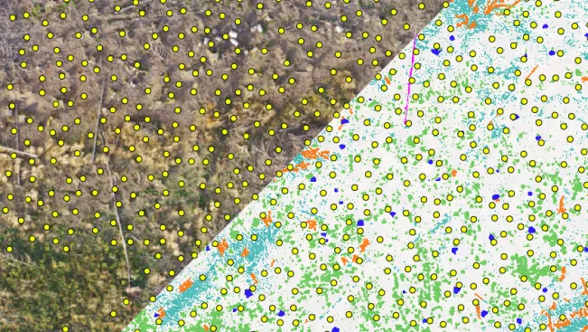 20231016_fbinf_Garrulus_seedplanning_Ahmad_Drak.png