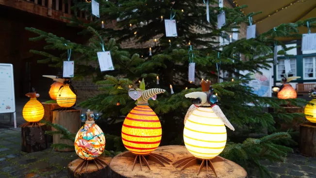 Start Wunschbaum Rheinbach 30. November 2023