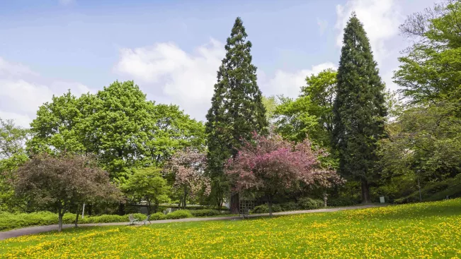 Stadtpark Colourbox 17796440