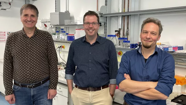 DFG-Projekt Althaus Preller Sass 120724 3 Foto Daniela Greulich