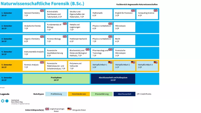 Studienverlaufsplan Naturwissenschaftliche Forensik (B.Sc.)