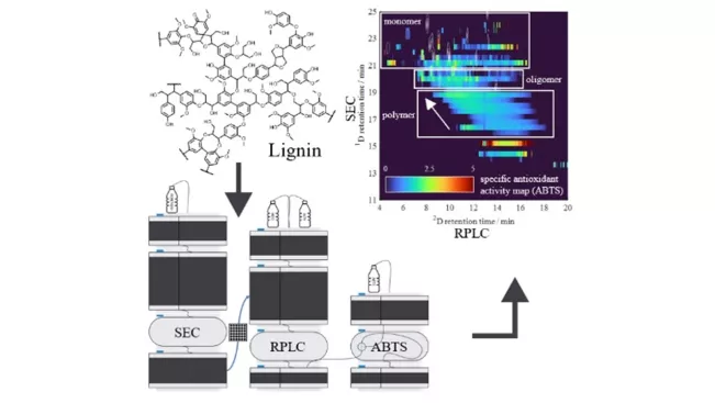 Antioxidant Activity of Kraft Lignin using Off-line 2D Chromatography