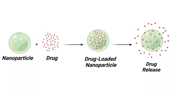 Biopolymer-Based Drug Delivery Systems